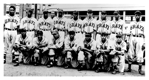 Homestead Grays